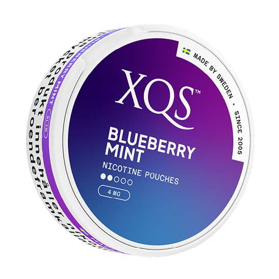 XQS Blueberry Mint (4 mg/pouch)