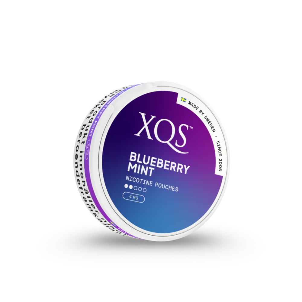 XQS Blueberry Mint - Nordicwhitepouch UK XQS Blueberry Mint