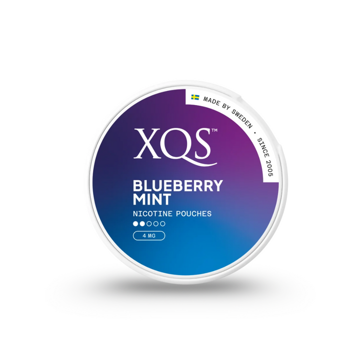 XQS Blueberry Mint - Nordicwhitepouch UK XQS Blueberry Mint